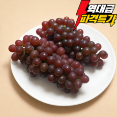 [가락시장 직송] 24brix 꿀당도 델라웨어 포도, 1박스, 200g