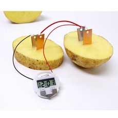 10인 과일전지 시계 산화 환원반응 실험키트 화학 교구 학습 방과후 과학 원리 학생