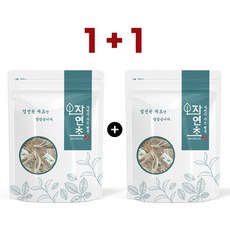 티백 모음 1+1 100개입 작두콩차 호박팥차 돼지감자차 여주차 국화차 메밀차 결명자차 바나바잎차 야관문차 연잎차 우엉차 외, 22.핑거루트차 100티백(50티백+50티백)