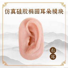 包郵!天琢媚仿真硅膠假耳朵教學模型仿真人體耳朵模型針灸練習小人體模型 教学 模型 穴位 關節骨架 模具, 仿真硅膠橢圓耳朵右