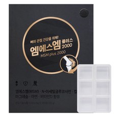 경동제약 엠에스엠(MSM)플러스 2000 + 6칸 알약케이스, 120정, 1개
