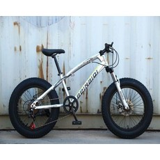 광폭타이어 팻자전거 바퀴큰 경량 타이어 펫자전거, 20inch, 7단, 실버 20인치