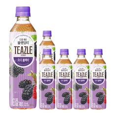 티즐 제로 오디 블랙티, 6개, 500ml