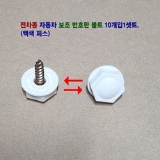 전차종 자동차 번호판 볼트 피스 10개입 1셋트, 3.백색 피스