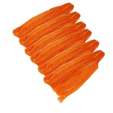 [프리미엄등급] 깨끗하게 손질된 부드러운 두절바다송어 식탁 준비, 1개, [청년인증]동해두절바다송어 대사이즈 5미