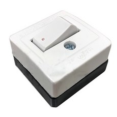 SHANG CHE 明式平開關 10A 125V, 1個