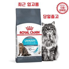 2kg 발송) 최근입고품 로얄캐닌 고양이사료 유리너리케어 인도어 증정품)헬로 치킨밀크껌 1개