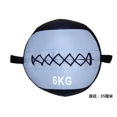크로스핏 월볼 스쿼트 트레이닝볼 소프트 메디신 피트니스, 아이스실버 6kg