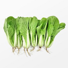[사계절청년농부] 아삭한 국내산 포천 열무 얼갈이 배추, 1박스, 얼갈이 2kg