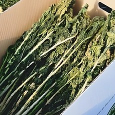 2026 양구 무청 햇시래기 펀치볼 산지직송 건나물, 1개, 1kg