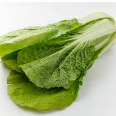 [굿피플] 얼갈이배추 얼갈이4kg 열무 배추얼갈이, 1개, 얼갈이배추 4kg