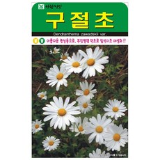 아람종묘 구절초 꽃 씨앗 1000립, 1개