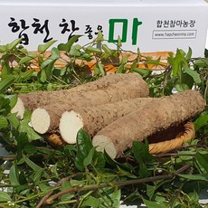 합천 알뜰마 못난이마 자투리마 중 7 kg, 7kg, 1개