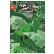 골드레씨 고려엉겅퀴 100립 씨앗 kal*702dY, 1개
