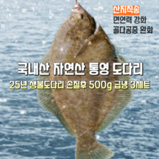 [산지직송] 25년 국내산 자연산 통영.여수 새벽조업 생물도다리 800g 손질후 500g 급냉 3세트 (1500g), 1박스, 당일팔지못하면 손질후 급냉 500g 3세트(1500g)