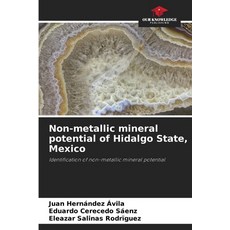 (英文圖書)Non-metallic mineral potential of Hidalgo State Mexico 平裝版, Our Knowledge Publishing, 英文