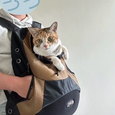 강아지 포대기 앞가방 아기띠 고양이 슬링백 S 이동 블루, C. 모카 브라운