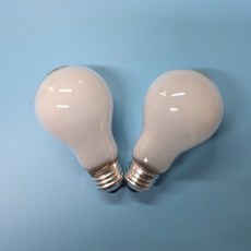 백열전구 110V 100W 불투명 전구색 E26, 2개