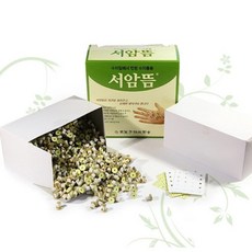 쑥뜸 서암뜸 1000P 뜸뜨기 붙이는뜸, 1