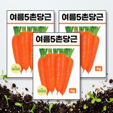 여름5촌당근 씨앗 종자 6g, 3개