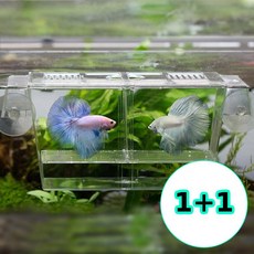 무지스 1+1 미니 구피 부화통 치어 열대어 격리통 어항 수족관, 2개