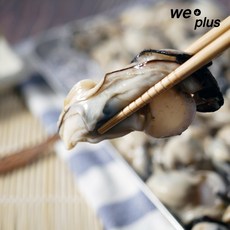 통영 굴 제철 생굴 석화굴 깐굴, 1개, 3kg