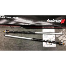 義大利 Andreani Group 競技前叉強化套件【T-MAX500 T-MAX530 專用】08 14專用, 1個