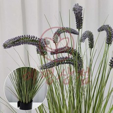 강아지풀 조화 70cm