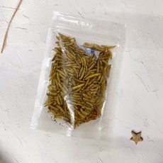 三隻小豬寵物用品 黑水虻鈣蟲20g - 倉鼠/刺蝟/睡鼠 零食 蛋白質, 1個