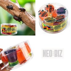 네오 곤충 모이 곤충사료