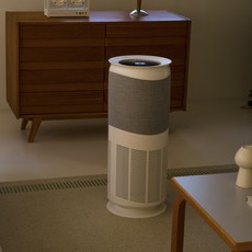 에이뮤 에어다움 공기청정기 BAS-017