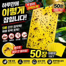 파리 끈끈이 50장 대용량 러브버그 초파리 날파리 트랩 식물 화분 해충 제거 끈끈이 스티커, 1세트, 50매
