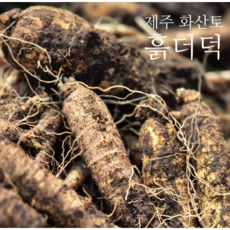 설아네꾸러미 국내산 제주 구좌 제철 햇더덕 흙더덕 산지직송, 1개, 2kg(상중)
