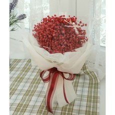 리프4 결혼기념일 프리저브드 로맨틱안개꽃다발, 레드