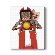 MANTO 台灣製造 大尺寸 DIY數字油畫 40x50cm 貓咪狗狗萌寵 初學者專用, 喵喵向前衝, 1套