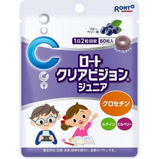로토 클리어 비전 주니어 블루베리맛 츄어블, 60정, 1개
