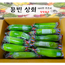 ( 용빈 상회 ) 국내산 애호박 인큐애호박 못난이 상품 업소용 C품 20개 4.5kg ~ 7kg, 1박스