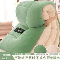 양면 벨벳 담요 암호화 모직 양털 학생 겨울 이불, 3. Avocado green