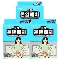 동국제약 굿잠 온열패치 10입(1입x10ea) 붙이는 핫팩 복부 아랫배케어 패치 손난로핫백 온찜질 파스형 붙이는 핫팩 배에 붙이는 핫팩 옷에 붙이는 핫팩, 3개
