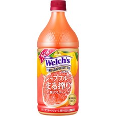 아사히음료 Welch_s(웰치) 핑크자몽100 800g_8병 보틀, 800g