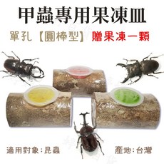 甲蟲專用果凍皿 單孔圓棒型/長條狀 天然原木果凍台 鍬形蟲/獨角仙昆蟲適用, 1個