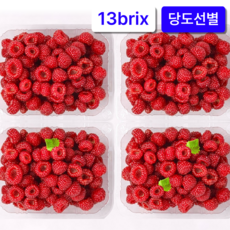 당도선별 제철과일 산딸기 생과, 3개, 250g