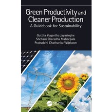 Green Productivity and Cleaner Production: A Guidebook for Sustainability Hardcover, CRC Press, English, 9780367535094