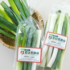 [오더프레쉬 소포장] 손질대파 버릴 것 없이 바로 쓰는 간편 대파, 1개, 400g