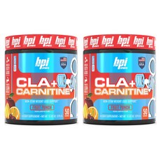 Bpi Sports CLA + 카르니틴 프루트 펀치, 2개, 350g