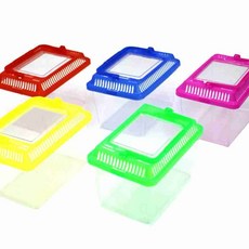 곤충채집통 곤충잡이가방