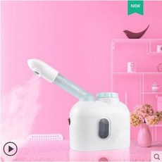 蒸臉儀 110v/220v 冷熱雙管噴霧機 美容院專用, 白DT-33S單熱噴家用小型, 白