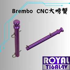 【瘋螺絲】ROYAL鈦合金插梢 Brembo CNC大螃蟹卡鉗插梢 64鈦/正鈦/鈦合金 出貨附發票 皇家紫, 1個