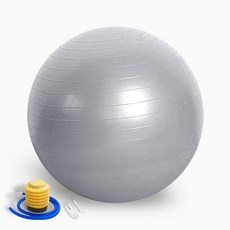 썸피트 안티버스트 짐볼 + 발 펌프, 실버그레이 55cm