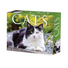 (英文圖書)Cats 2026 5.4 X 6.2 Box Calendar Spiral, Willow Creek Press Calendars, 英文, 螺旋裝